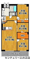 ノバカネイチ大正
