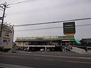 サンプラザ島泉店まで1079m