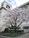 寝屋川市立第八中学校まで567m