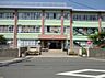 周辺：貝塚市立中央小学校まで1100m
