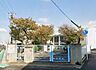 周辺：岸和田市立八木南小学校まで1008m