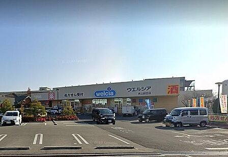 ウエルシア堺上野芝店まで1300m
