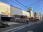 ライフ高石店まで1100m