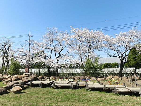 周辺を拡大表示