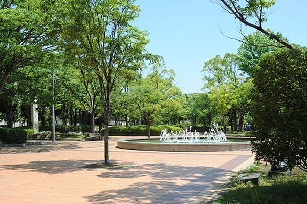 周辺を拡大表示