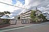 周辺：川越市立中央小学校まで530m