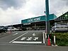 周辺：カインズ　城山店まで約1700m