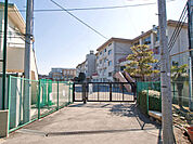 町田市立堺中学校　距離約900m