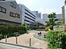 周辺：坂戸なかよし公園まで約260m