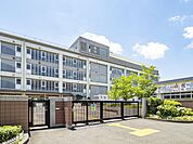 川崎市立橘中学校まで約850m