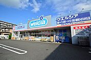 ウエルシア　座間ひばりが丘店　距離約700m