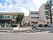 相模原市立東林小学校　距離約450m