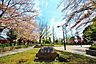 周辺：横山公園　距離約800m