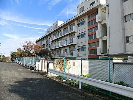 横浜市立新羽小学校まで約1000m