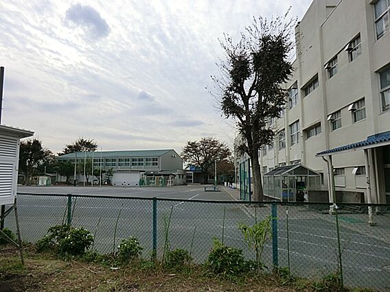 横浜市立瀬谷第...