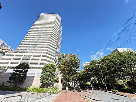 お気軽にお問い合わせください