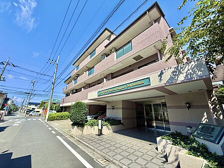 周辺に電線があり住宅街に位置するマンションの外観です