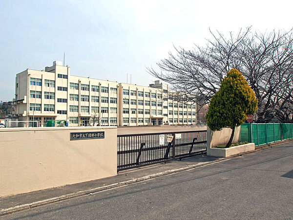 周辺を拡大表示