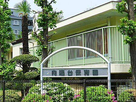 向陽台保育園まで約350m
