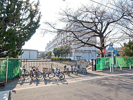 大和市立緑野小学校　距離約210m