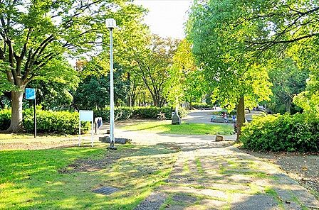 等々力緑地　距離約1000m