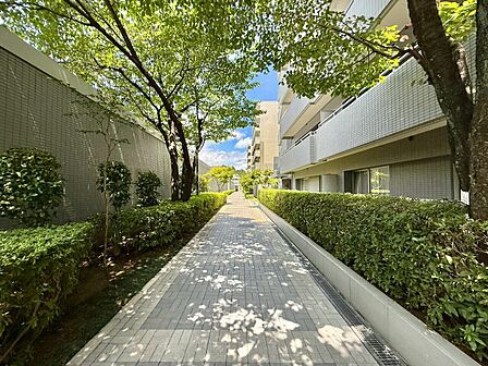 緑が豊かな歩道と建物外観の共用部です