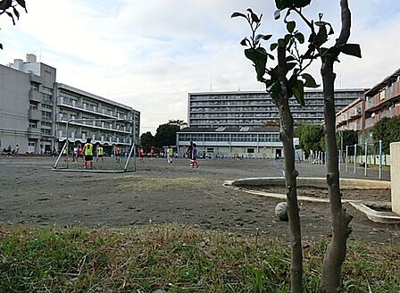 横浜市立大豆戸小学校まで約1100m