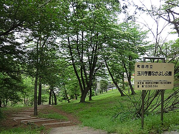周辺を拡大表示
