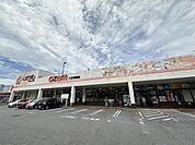 スーパーオザム八王子諏訪店まで1293m