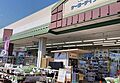 ケーヨーデイツ...