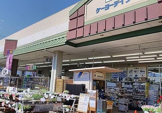 ケーヨーデイツ...