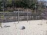 その他：現地写真