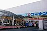 周辺：ホームセンターコーナン西陣上七軒店まで681m