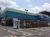 DCMくろがねや海老名下今泉店まで609m