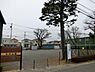 周辺：中村公園まで1380m