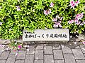 世田谷区立赤松...