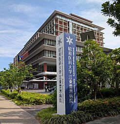 昭和大学江東豊洲病院まで475m