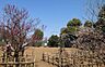 周辺：羽根木公園まで1000m