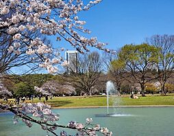 周辺施設の画像