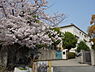 周辺：門真市立上野口小学校まで366m