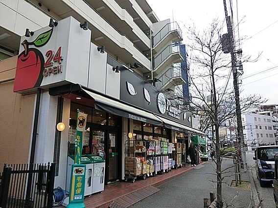 トップパルケ反...