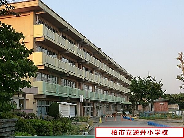 画像24:柏市立逆井小学校まで1579m、柏市立逆井小学校