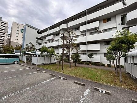 お気軽にお問い合わせくださいませ♪