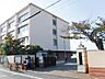 周辺：泉大津市立戎小学校まで532m