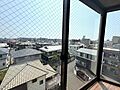 【現地からの眺...