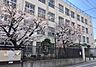 周辺：大阪市立桑津小学校まで955m