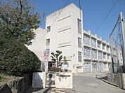 堺市立東百舌鳥中学校まで1700m