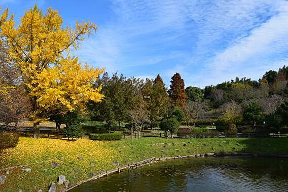 旭公園まで24...