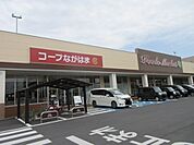 コープながはま店まで376m、食品や日用品が揃うお店です。