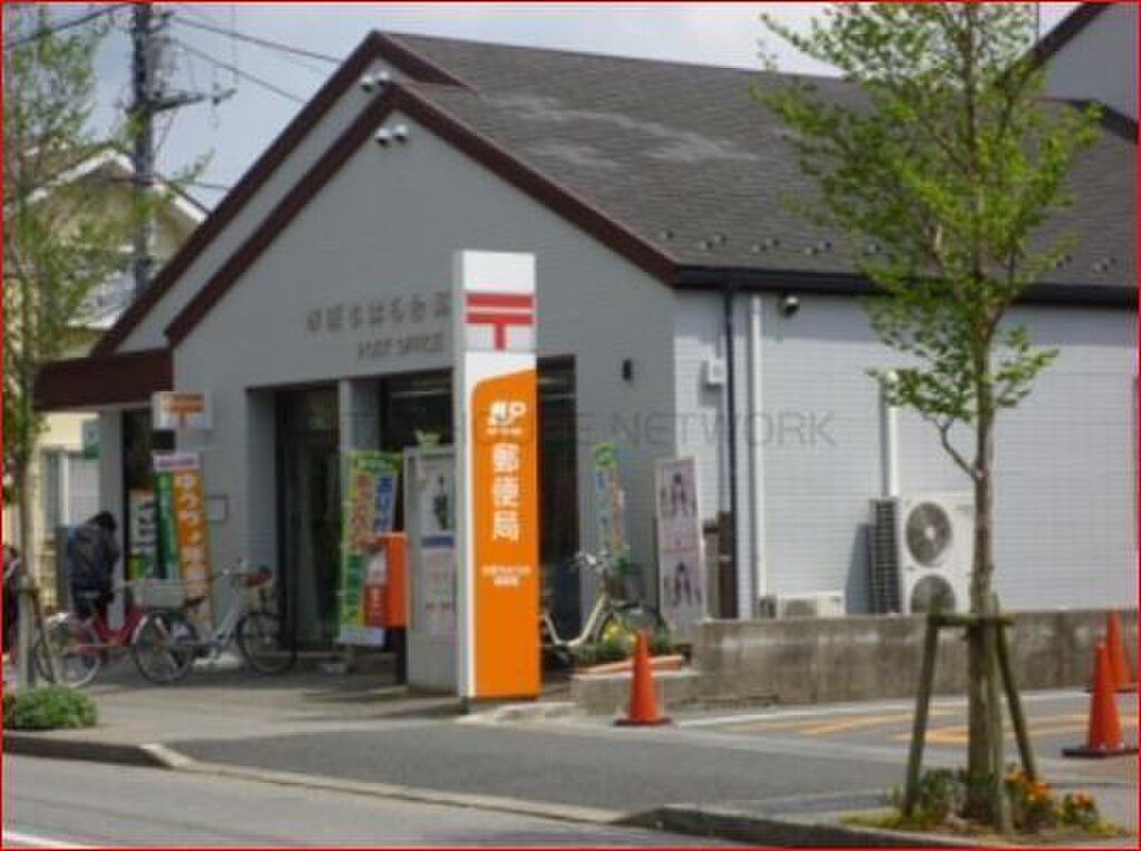 Image 227